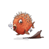Diodon