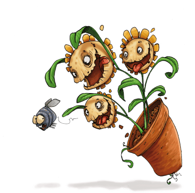 Dionaé - Les plantes carnivores