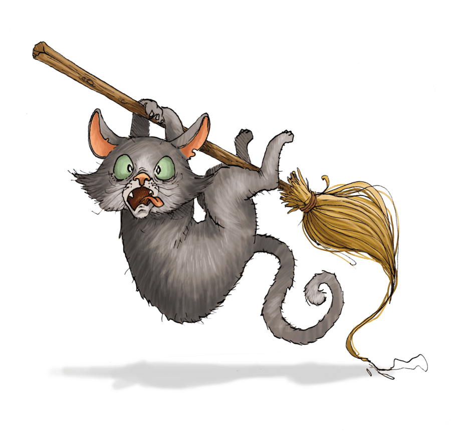 Lucky - The cat