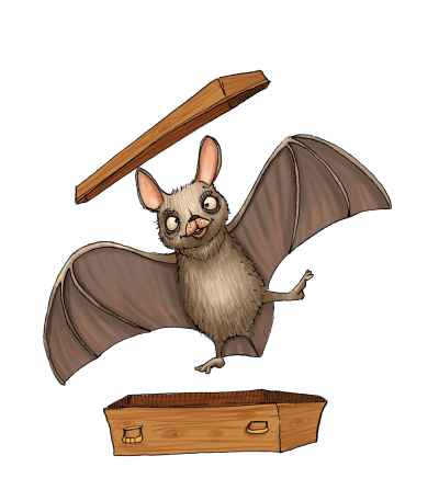 Myotis - La chauve-souris