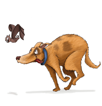 Ouaf - Le chien